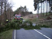 Baum über Straße